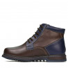 Miesten nilkkurit 497 kahvi+indigo